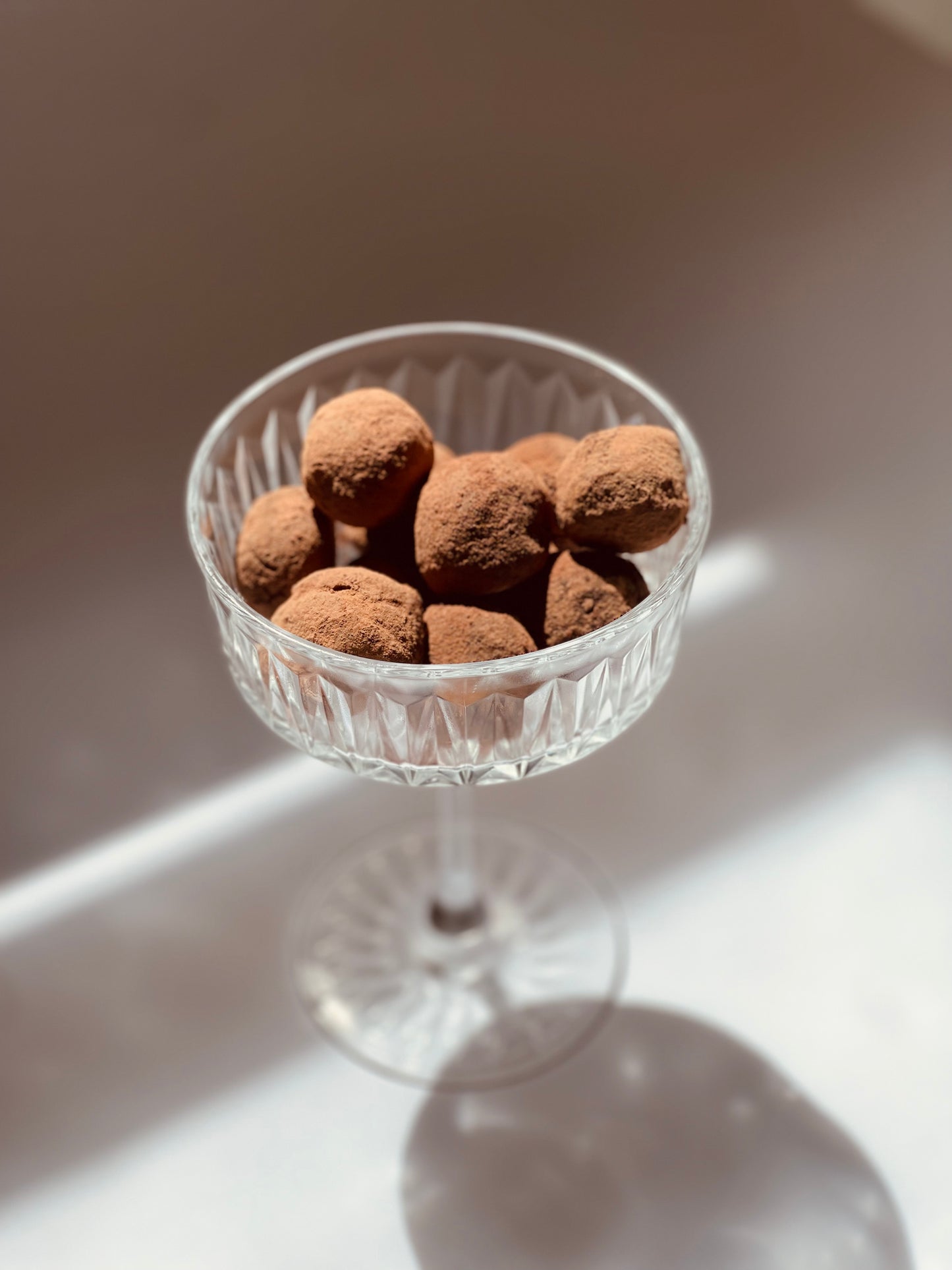 Mix of 16 Truffles: 8 Gourmet Dark Chocolate Truffles with Porcini Mushrooms & 8 Salted Caramel Truffles